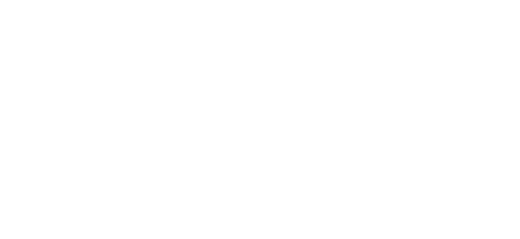 Nouvelle